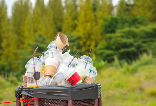 Trash Removal Near Me in Brownsville, KY